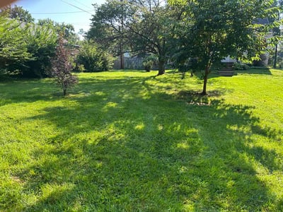 Lawn Care service in Princeton, 08542