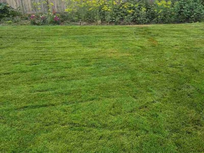 Lawn Care service in Colville, 99114