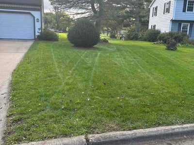 Lawn Care service in Stoughton, 53589