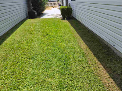 Lawn Care service in Sebastian, 32958