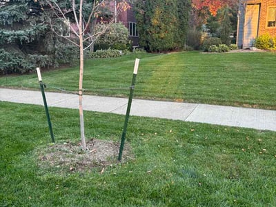 Lawn Care service in Deforest, 53532
