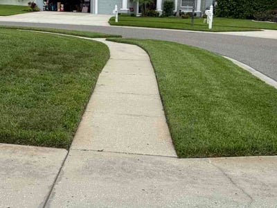 Lawn Care service in Seminole, 33772