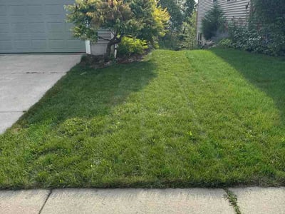 Lawn Care service in Deforest, 53532