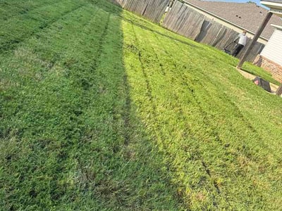 Lawn Care service in Sapulpa, 74066