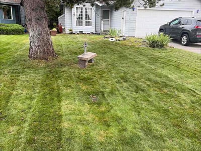 Lawn Care service in Issaquah, 98027
