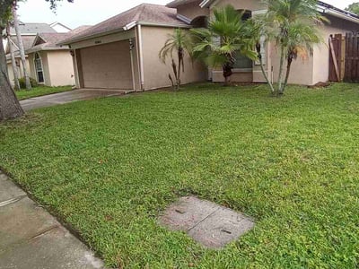 Lawn Care service in Brooksville, 34601