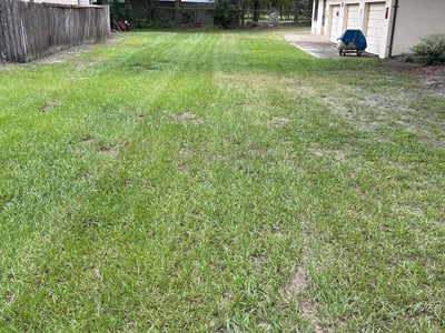 Lawn Care service in Brooksville, 34601