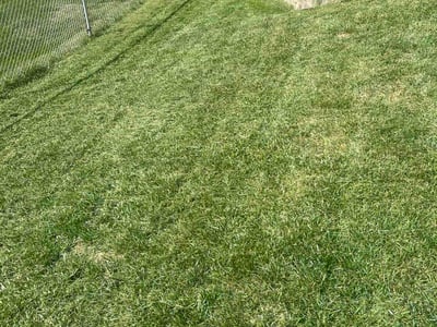 Lawn Care service in Franklin, 45005