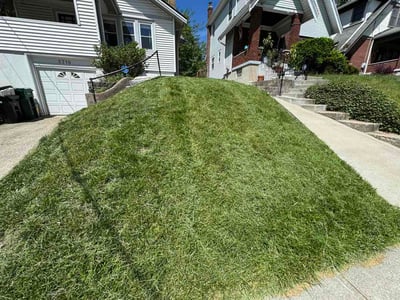 Lawn Care service in Franklin, 45005