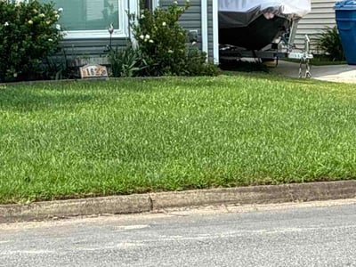 Lawn Care service in Yorktown, 23690