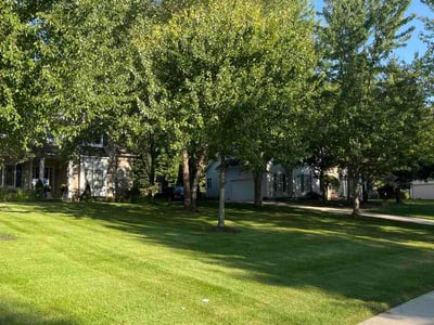 Lawn Care service in Saint Cloud, 56301