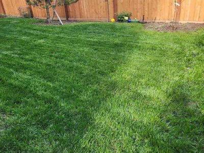 Lawn Care service in Lake Stevens, 98258