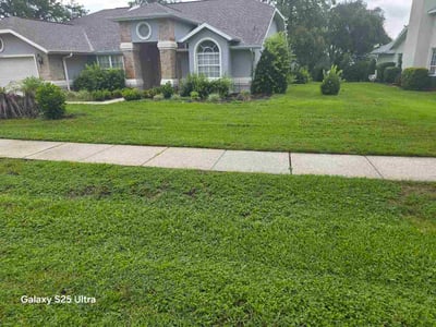 Lawn Care service in Crystal River, 34428