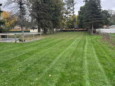 Lawn Care service in Holt, 48842