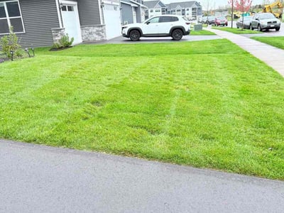 Lawn Care service in Shakopee, 55379