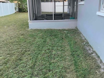 Lawn Care service in Clearwater, 33755