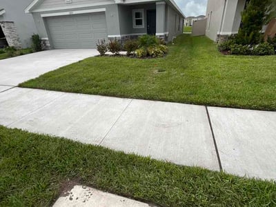 Lawn Care service in Citrus Park, 33625