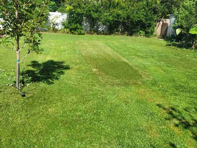 Lawn Care service in Citrus Park, 33625