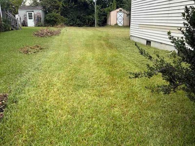 Lawn Care service in Hayes, 23072