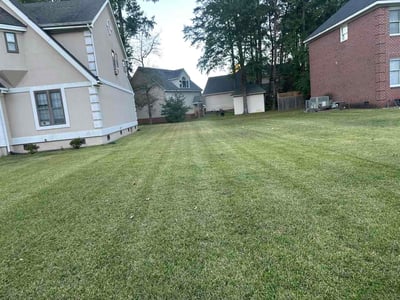 Lawn Care service in ,