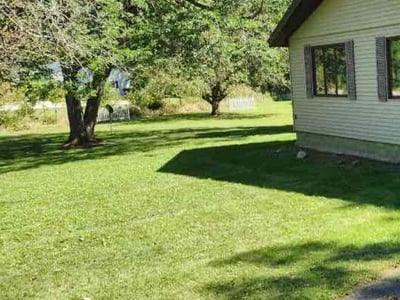 Lawn Care service in Dewitt, 48820