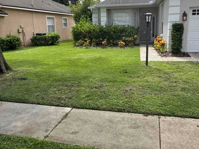 Lawn Care service in Marco Island, 34145