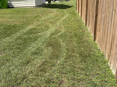 Lawn Care service in Milford, 06460