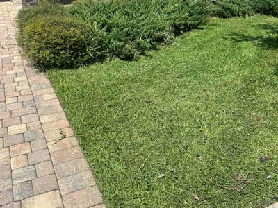 Lawn Care service in Marco Island, 34145