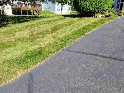 Lawn Care service in Saint Michael, 55376