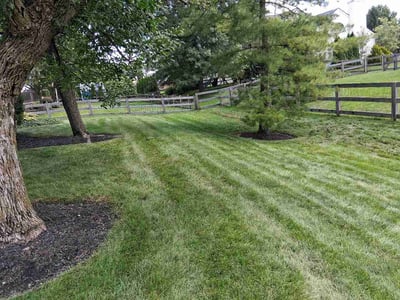 Lawn Care service in Lewis Center, 43035