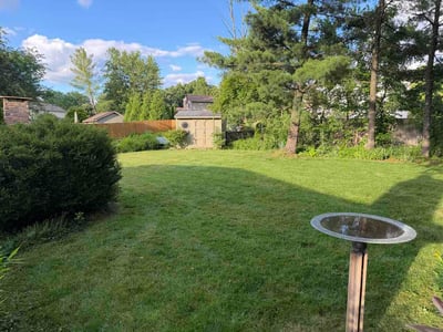 Lawn Care service in New Albany, 43054