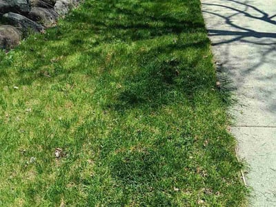 Lawn Care service in Oregon, 53575