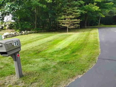 Lawn Care service in West Springfield, 01089