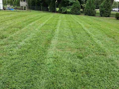 Lawn Care service in West Springfield, 01089