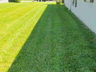 Lawn Care service in ,
