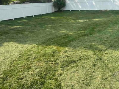 Lawn Care service in Reynoldsburg, 43068