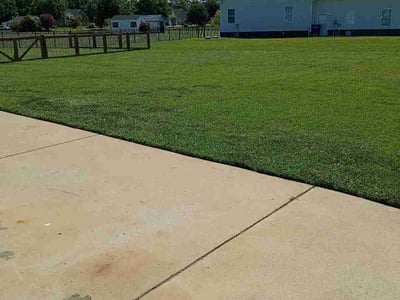 Lawn Care service in Kent, 98032