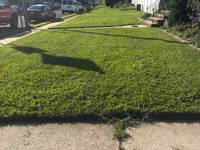 Lawn Care service in Trenton, 08608