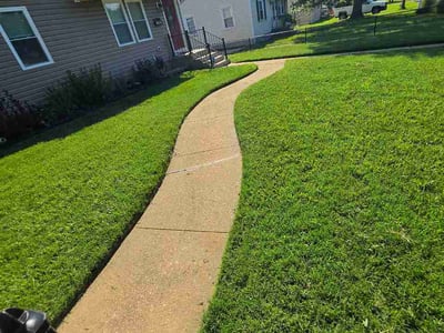Lawn Care service in Henrico, 23294