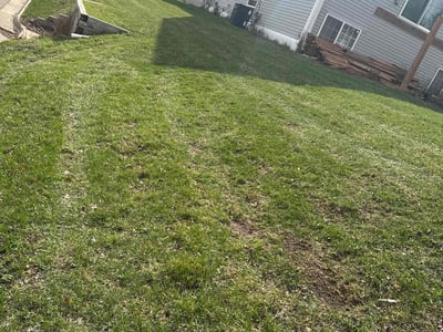 Lawn Care service in Anoka, 55303