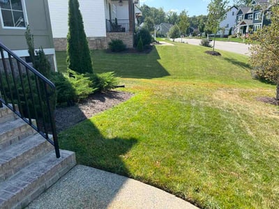Lawn Care service in Henrico, 23294