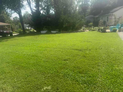 Lawn Care service in Chesterfield, 23832