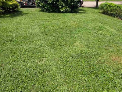 Lawn Care service in Trenton, 08608