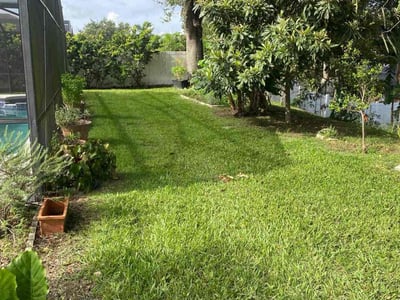 Lawn Care service in Haines City, 33844