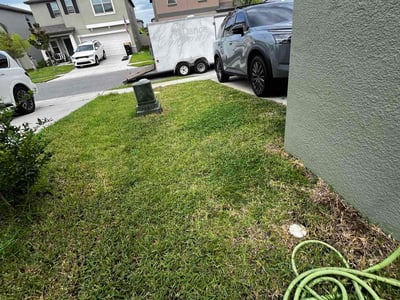 Lawn Care service in Haines City, 33844