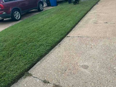 Lawn Care service in Gloucester, 23061