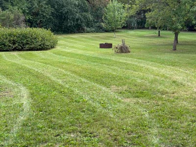 Lawn Care service in Big Lake, 55309