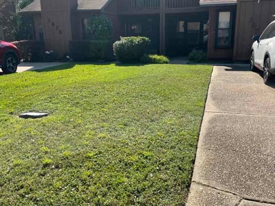 Lawn Care service in Gulf Breeze, 32561