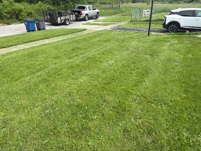 Lawn Care service in Holland, 43528