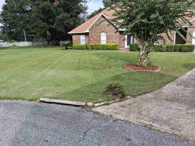 Lawn Care service in Gulf Breeze, 32561